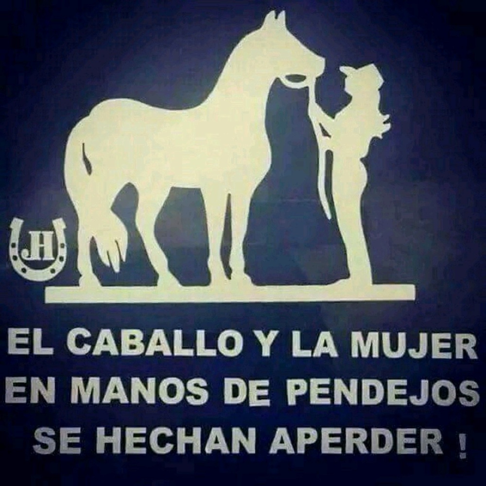 Meet your Posher, Anahi